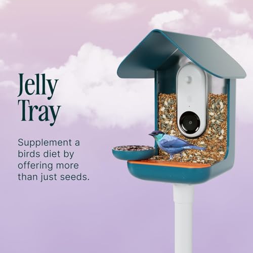 Birdbuddy 3-in-1 Nutrition Set - Outdoor Bird Accessories with Water Fountain, Fruit Spike & Jelly Tray Feeder - Durable, Easy Attachment for Bird