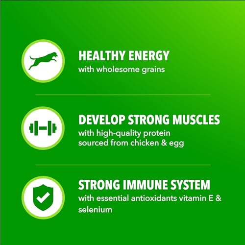 IAMS Proactive Health Adult Minichunks Premium Dry Dog Food, Adult Dog Food Dry Recipe, 30 lb. Bag