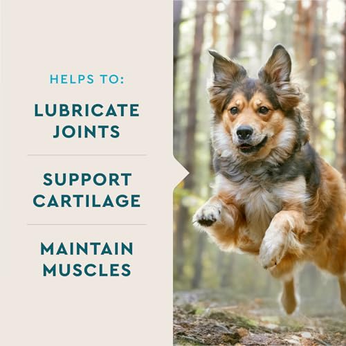 VetIQ Glucosamine Hip & Joint Supplement for Dogs, 180 Soft Chews, Joint Support Supplement with MSM and Krill, Dog Health Supplies Large & Small