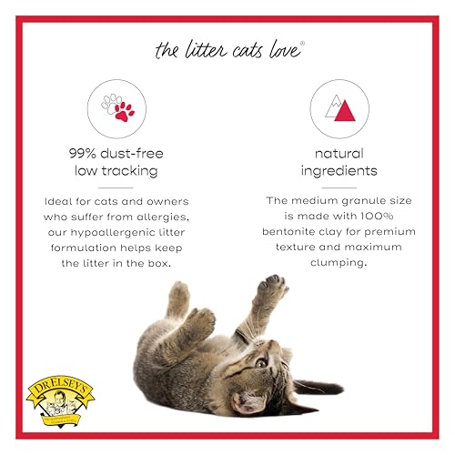 Dr. Elsey's Premium Clumping Cat Litter - Cat Attract - 99% Dust-Free, Low Tracking, Hard Clumping, Superior Odor Control, Natural Herbal Attractant