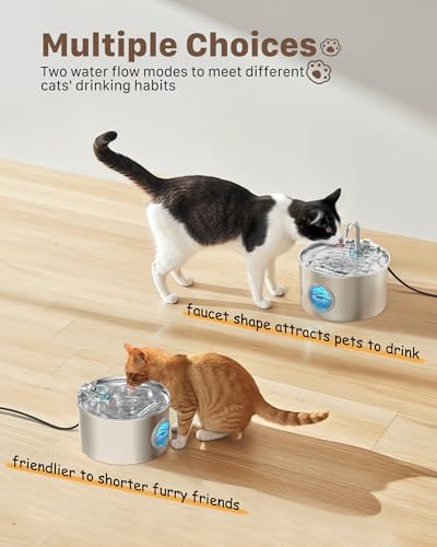 Cat Water Fountain Stainless Steel: 74oz/2.2L Cat Fountain for Drinking - Pet Water Fountain for Cats Inside - Quiet Cats Water Bowl Dispenser