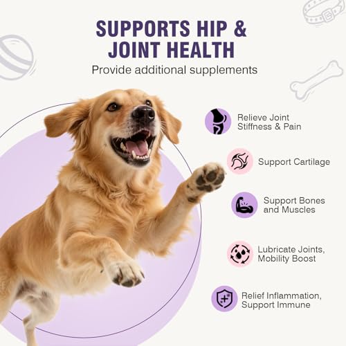 Glucosamine for Dogs 200pcs Joint Support Supplement Dog Hip and Joint Chondroitin Chews Treats with MSM Dog Joint Pain Relief Mobility Supplements