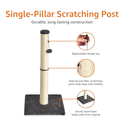 Basics Cat Scratching Post for Indoor Cats & Kittens, Medium (31.5"H), Cat Furniture with Dangling Ball Toy, Grey