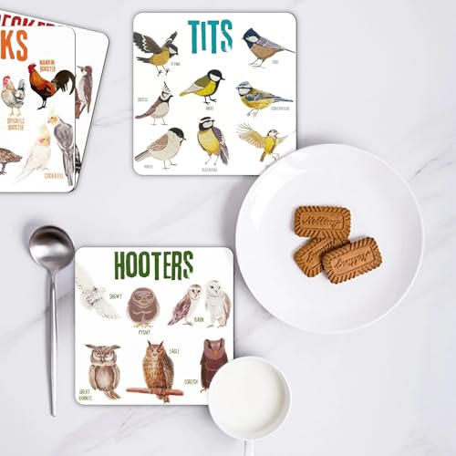 Bird Pun Coasters, Square Funny Coaster Set Coffee Coasters for Bird Lovers Kitchen Decor Housewarming Gifts (4 Pcs)