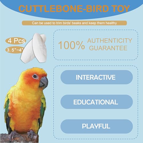 Jmxu's 3.5"-4" Cuttlebone for Birds Parakeets, Cuddle Bone with Metal Clip, Cuttlefish Bone for Sharp Beaks, Natural Birds Calcium for Parrots