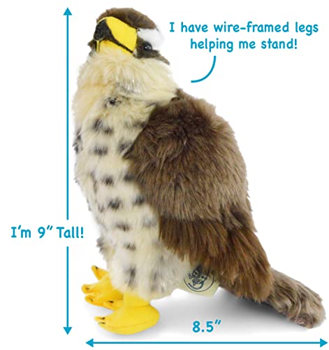 TigerHart Percival the Peregrine Falcon | 10 Inch Hawk Stuffed Animal Plush Bird Toys