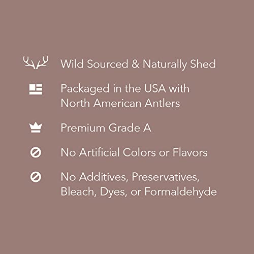 Brand - Wag Split Elk Antler, Naturally Shed, Long Lasting for Aggressive Chewers, Medium (Best for Dogs 15-30 lbs)