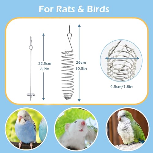 2Pcs Rat Enrichment Toys, 304 Stainless Steel Rat Foraging Toy for Fruit Vegetable Holder, Fancy Mice Cage Accessories Puzzle Toy, Hanging Rodent
