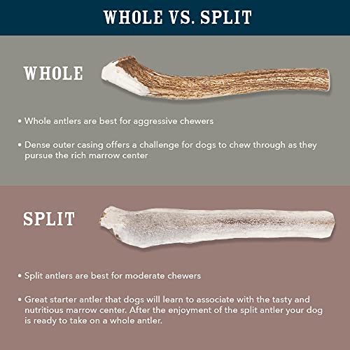 Brand - Wag Split Elk Antler, Naturally Shed, Long Lasting for Aggressive Chewers, Medium (Best for Dogs 15-30 lbs)