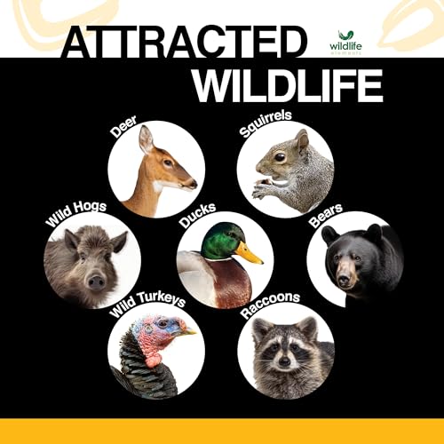 Critter Corn, Natural Whole Shelled Corn for Wildlife, 44lb Bag – High-Energy Feed for Deer, Squirrels, Turkeys, Ducks, Raccoons, and More – USA