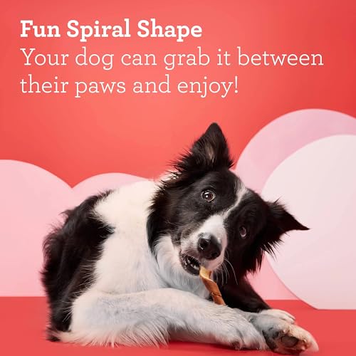 DreamBone Spirals Variety Pack Chews for Dogs, Treat Your Dog to Easy-to-Digest Rawhide-Free Chews Made with Chicken, Beef or Pork, 32 Count