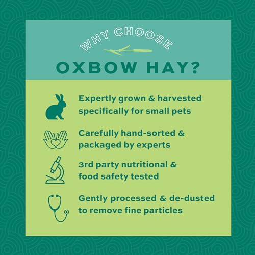 Oxbow Western Timothy Hay, Guinea Pig Hay, Small Pet Bunny Supplies, All Natural Grass for Guinea Pig, Bunny, Chinchilla & Hamster, Oxbow Rabbit