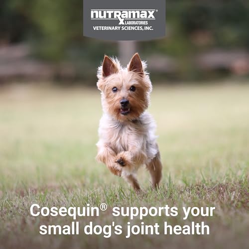 Nutramax Cosequin for Small Dogs, Joint Health Supplement, Contains Glucosamines, Chondroitin, MSM and Omega-3s, Supports Joint and Skin and Coat