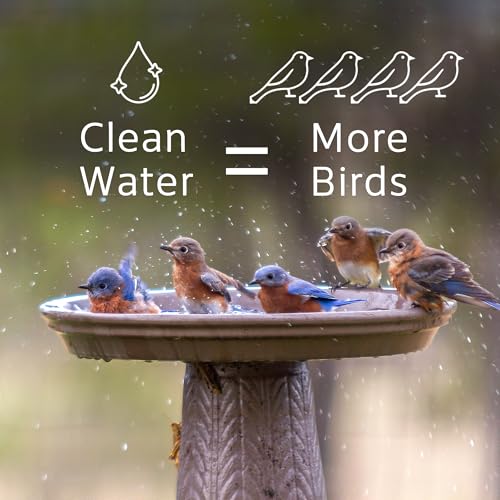Microbe-Lift Bird Bath Clear Two-in-One Water Cleaner – 4 Oz – Safe for Birds, Fish & Frogs – Cleans Outdoor Birdbaths & Fountains – Natural Formula