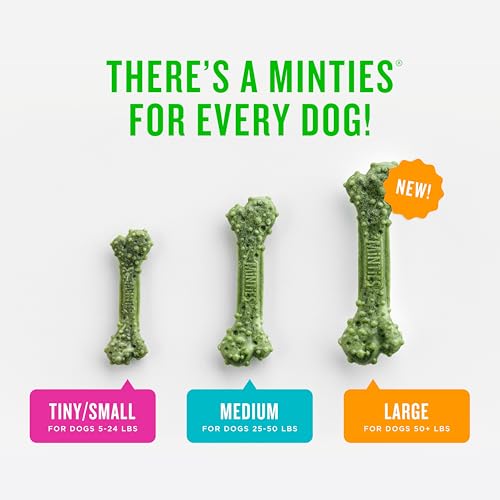 Minties Dental Chews for Dogs, 60 Count, Vet-Recommended Mint-Flavored Dental Dog Treats for Medium Dogs, Bones Clean Teeth, Fight Bad Breath, and