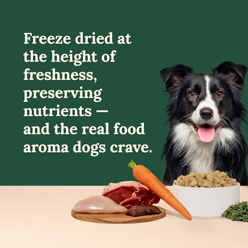 360 Pet Nutrition Freeze-Dried Raw Dog Food – Multi-Protein with Beef, Chicken, Fish, Liver & Organs, High Protein, Omega-3s, Fruits, Veggies