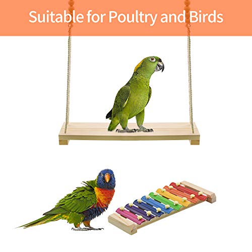 Swing Toys Xylophone, 2pcs Chicken Toys for Poultry Run, Rooster Hens Chicks Pet Parrots Macaw Entertainment, Stress Relief for Birds