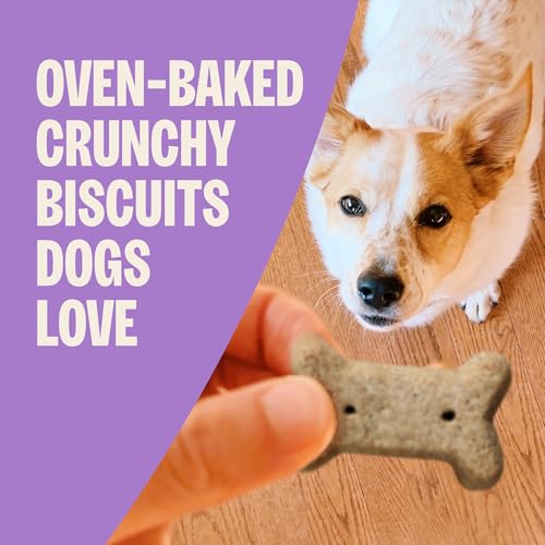 Wellness Old Mother Hubbard Classic P-Nuttier Dog Biscuits, Natural Training Treats, Peanut Butter Flavor, Mini Size, 6 lb Box