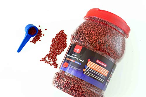 High Protein Floating Sticks Fish pellets for Arowana,Oscars,Flower Horns,Red Parrots Arowana pellets,1kg (2.2lb) (Parrot Fish Pellets)