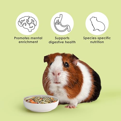 Kaytee Food from The Wild Natural Pet Guinea Pig Food, 4 Pound