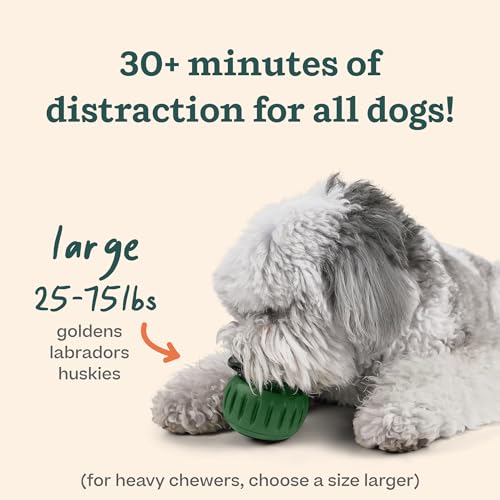 WOOF Pupsicle and Treat Tray - Long-Lasting Interactive Dog Ball Toy and Silicone Dog Treat Mold - Keep Your Pup Busy - Easy to Clean - Toys for