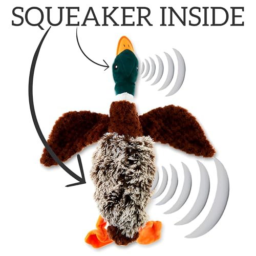 Duck Dog Toy Squeak Toys | Mallard-Shaped | Shaped Pet Toys | Duck Dog Toys for Large Dogs | Mallard Dog Toy | Dog Chew Toys | Stuffed Toys
