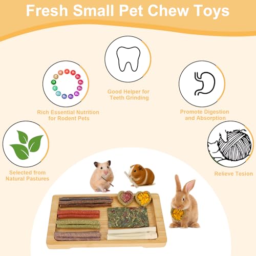 65PCS Rabbit Bunny Guinea Pig Chew Toys Treats, Chinchilla Hamster Chews Toys for Teeth, Timothy Hay Chips Treats Sticks for Rabbit Guinea Pig