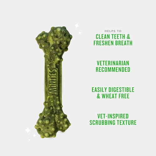 Minties Dental Chews for Dogs, 60 Count, Vet-Recommended Mint-Flavored Dental Dog Treats for Medium Dogs, Bones Clean Teeth, Fight Bad Breath, and