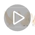 FANTESTICRYAN Small Birds Statues Gold Home Decor Modern Style Figurine Decorative Ornaments for Living Room, Bedroom, Office Desktop, Cabinets