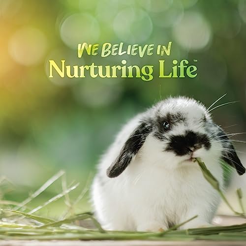 Small World Rabbit Food, Complete Feed, Pelleted Food for Rabbits, Fortified with Essential Vitamins & Minerals for Daily Health, High-Fiber Diet for