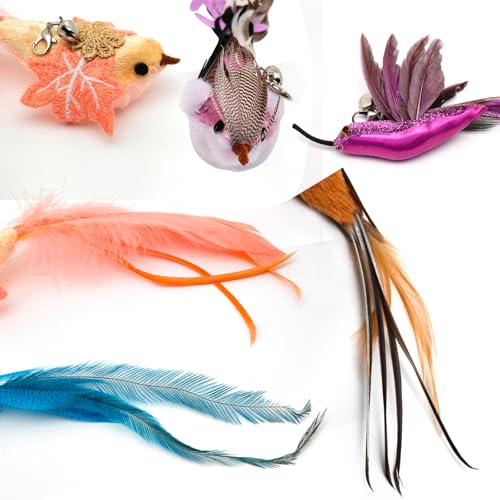 miwoowim Interactive Cat Toys for Indoor Cats - 35'' Steel Wire and 6PCS Feather Bird Refills,Teaser Toy,Cat Wand Toy,Feathers & Bells, Realistic