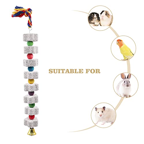 2 Pack Large Bird Chewing Toy, Parrot Beak Grinding Calcium Stone with Bells, Bird Cage Accessories, Cage Toys for Cockatiel Parakeet Parrot Budgies