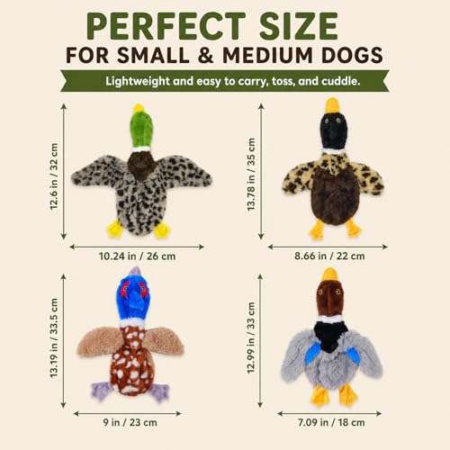 Dog Squeaky Toy Set – 4-Pack Durable Plush Duck, Pheasant, Goose for Small and Medium Dogs – Soft Bird Chew Toys with Crinkle Sound for Puppy Play