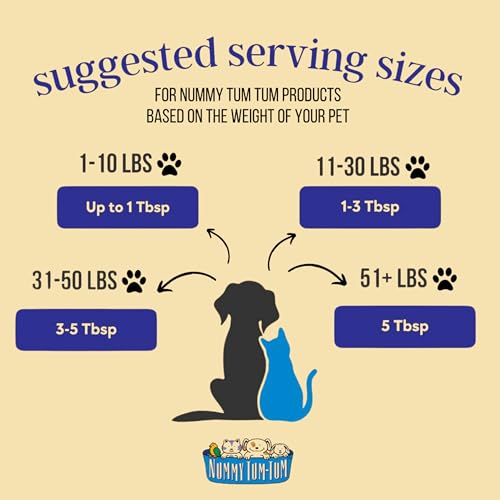 Nummy Tum Tum Organic Pumpkin For Dogs & Cats, 15 Ounce (Pack of 12)
