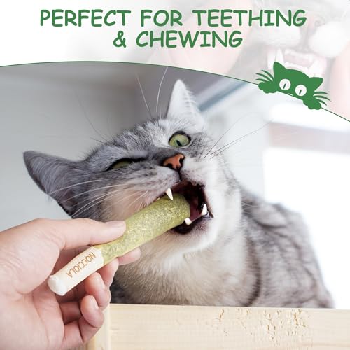 Nocciola 3 Pack Catnip Toys for Cats, Funny Cat Toys Filled with 100% Pure Organic Catnip, Safe Kitten Teething Chew and Kicker Toys, Stress