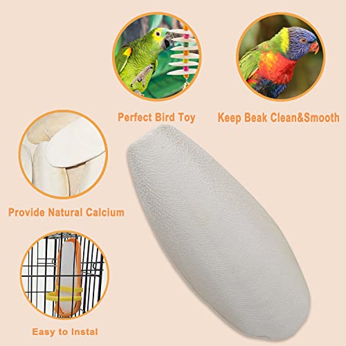 5.9"-6.53" Large Bird Cuttlebone for Parakeets, Cuddle Bone with Plastic Holder, Cuttlefish Bone for Sharp Beaks, Natural Birds Calcium Suitable for
