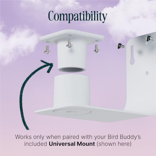 Birdbuddy Wall Mount - Versatile Bird Feeder Wall Mount for Wall & Fences - Durable, Weather-Proof Heavy Duty and Secure & Stylish Outdoor Feeder