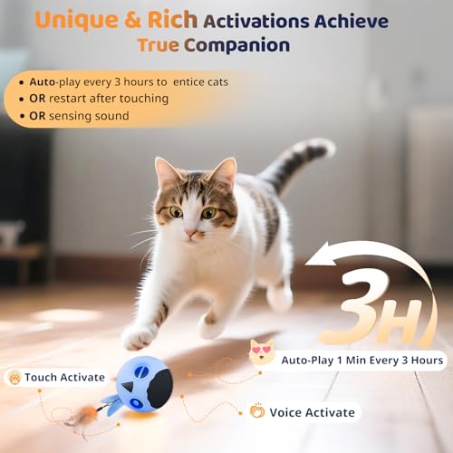 ORSDA Cat Toys, Interactive Cat Toy for Indoor Cats, Automatic Moving Ball Bird for Indoor Adult Cats Kitten Toys All Breeds, Fast Rolling Motion