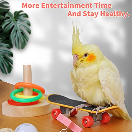 Bird Toys,Parrot Training Toys for Lovebird,Five-Types Parakeet Toys Sets for Conure, Cockatiel,12 PCS Parrot Intelligence Toy,Basketball