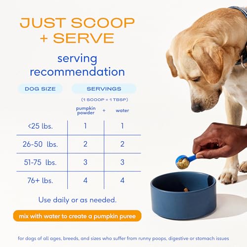 Native Pet Pumpkin for Dogs - Organic Dog Food Topper Powder - Promotes Firm Stools, Supports Digestive, Bowel Health & Nutrient Absorption - USDA