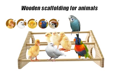 Large Wooden Pine Chick Perch Roosting Bar for Baby Chicks Brooder Coop, Chicken Training Toy Stand