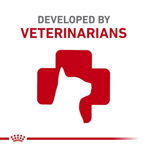 Royal Canin Feline Health Nutrition Indoor Adult & Adult Instinctive Thin Slices in Gravy and Morsels in Gravy Variety Pack Cat Food, 3 oz (Pack of