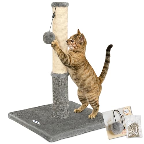 Happi N Pets Cat Scratching Post, Cat Scratcher for Indoor Cats, Sisal Scratching Post & Carpet Post in One, Stable Kitten Scratching Post with