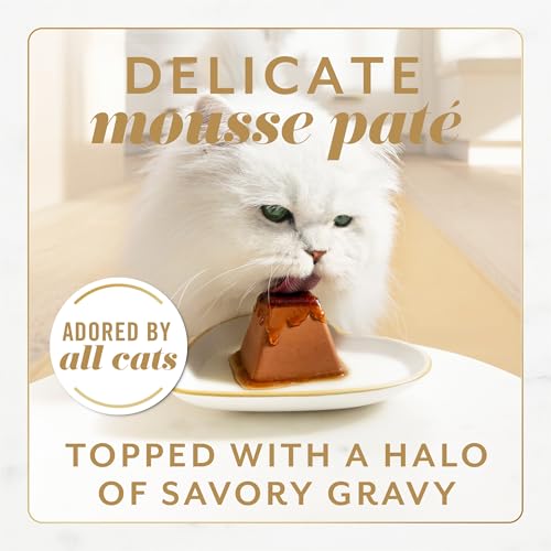 Purina Fancy Feast Gems Pate Mousse with Turkey and with Chicken Wet Cat Food Variety Pack - 4 oz. (Pack of 16)