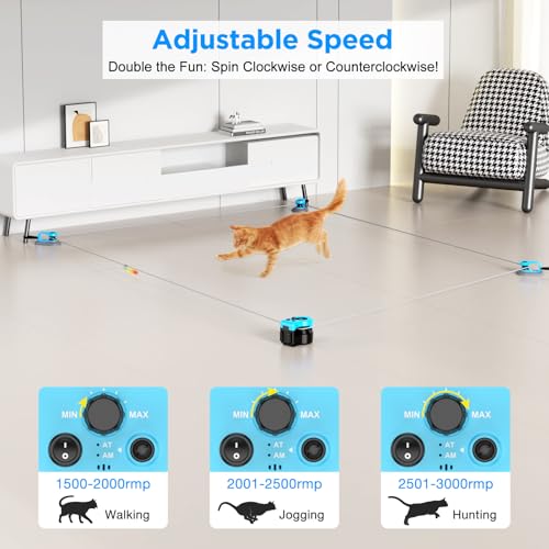 Interactive Cat Toy for Indoor Cats, Auto/Remote Control DIY Cat Mouse Hunting Treadmill Keep Bored Kitten Puppy Entertained to Chase, Feather Toy to