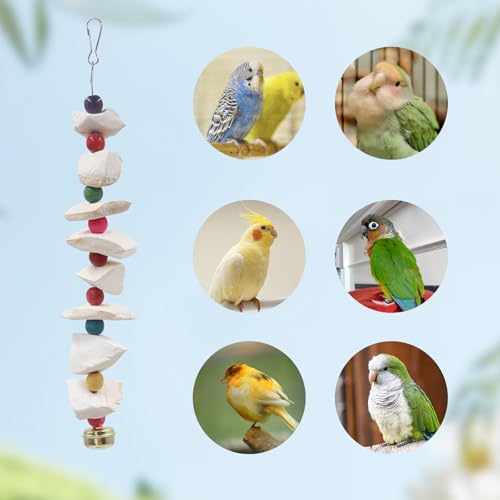 2 Pack Bird Toys with Cuttlebone, Parakeet Toys, Bird Beak Grinding Stone, Cage Accessories for Parakeets, Cuttlefish Bone for Budgies, Cockatiels
