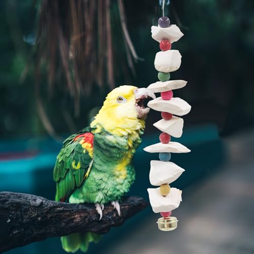 2 Pack Bird Toys with Cuttlebone, Parakeet Toys, Bird Beak Grinding Stone, Cage Accessories for Parakeets, Cuttlefish Bone for Budgies, Cockatiels