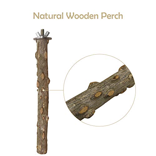 Bird Perch 4 PCS Natural Wood Stand Parakeet Toys Bird Cage Accessories for Parrots Conure Supplies Budgie Platform