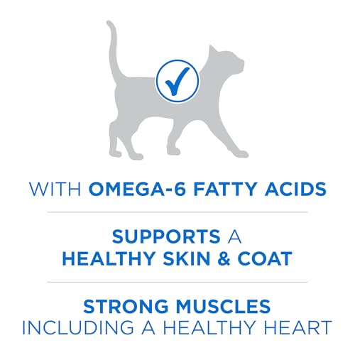Purina ONE Plus High Protein Cat Food Dry Salmon and Ocean Whitefish Cat Skin and Coat Health Formula - 3.5 lb. Bag