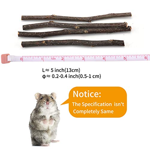 Natural Apple Sticks, 500g Treats Food for Small Animals, Chew Toys for Chinchilla Guinea Pigs Rabbit Squirrel Hamster Bunny